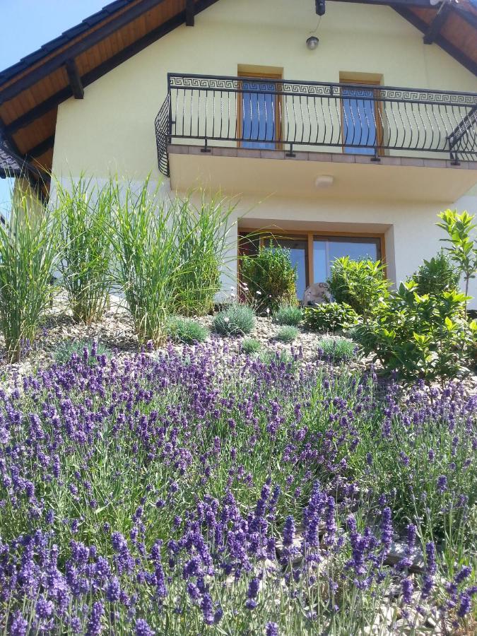 Domki Pod Magura Bystra  Exterior foto